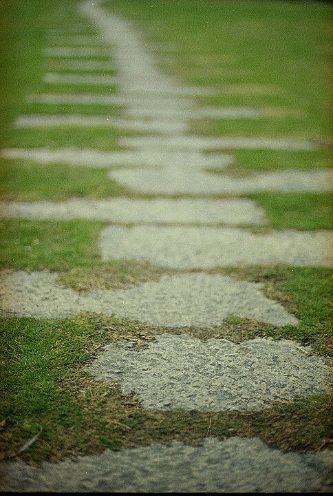 2012,厦门<br />
Nikon FM3A,Ais 50mm F1.4,Tudor 200