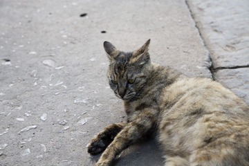 20130622-nanjing-48.jpg