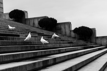 20130626-nanjing-167.jpg