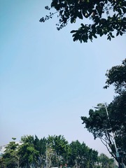 A98A2296-1BCE-4C6C-896B-87641541939C/L0/001