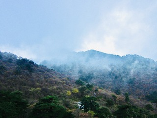 E077E3B5-7E71-4112-AE0A-8401F7C1491F/L0/001