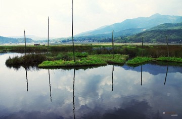 湿地柱子（缩）.jpg