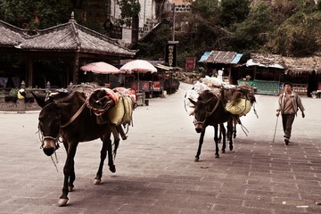 茶马古道（缩）.jpg