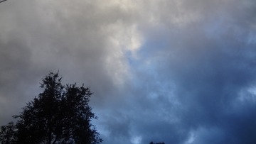 83801