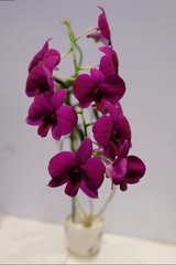BD2FF89C-7594-4F14-9B25-584C29D19488/L0/001