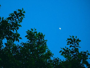 230FF57D-0366-49CB-A6AE-33F82454F26F/L0/001