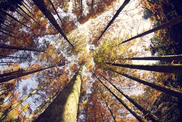 _IGP6703.jpg