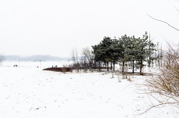 雪-7980.jpg