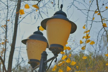 120200F6-C8BF-4A04-AA88-AEADDC3F6F55/L0/001