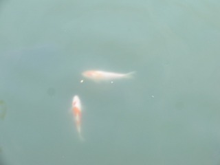 147043