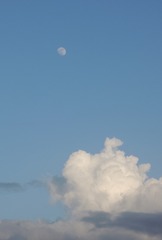 30856479-CC8E-4F79-AC17-5A8F3BB69059/L0/001