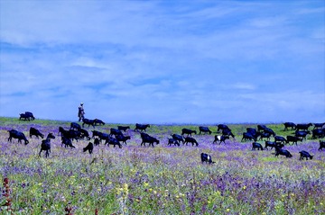 7F1BBFCC-1BF1-4651-8D15-AA8EF0BC6454/L0/001