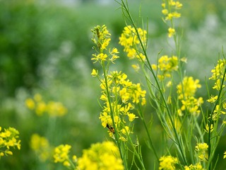 F3923BC4-B0E9-4D0D-AD9A-24EDE4571E74/L0/001