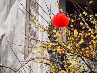00DC623B-23A7-483D-97D2-55F920344323/L0/001