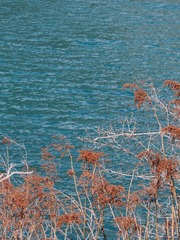 10386F68-65A5-474D-801E-BCC3D71D873D/L0/001
