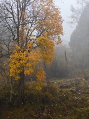 1000091561