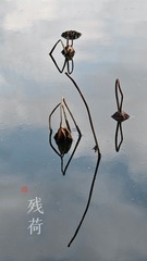 1000102525