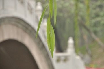 DSC_0056.JPG
