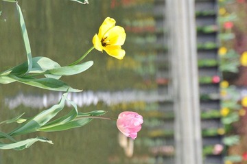 DSC_0355.JPG