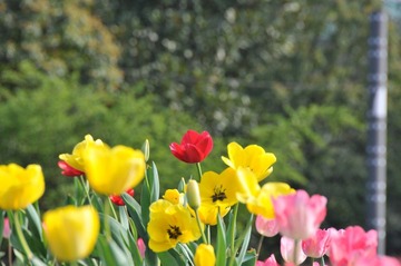 DSC_0356.JPG