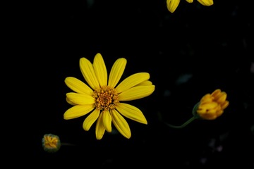 952826B1-B3F9-4714-88F7-8DE9D3D7E390/L0/001