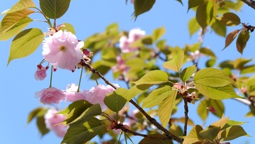 C95933A2-23C3-46F1-8375-7087F7630051/L0/001