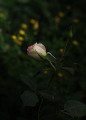 387673