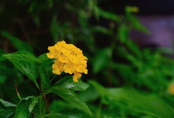 A8ED26C8-5051-49F0-AC28-54478F8D65DA/L0/001