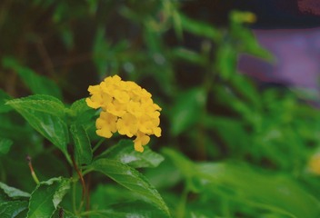 A8ED26C8-5051-49F0-AC28-54478F8D65DA/L0/001
