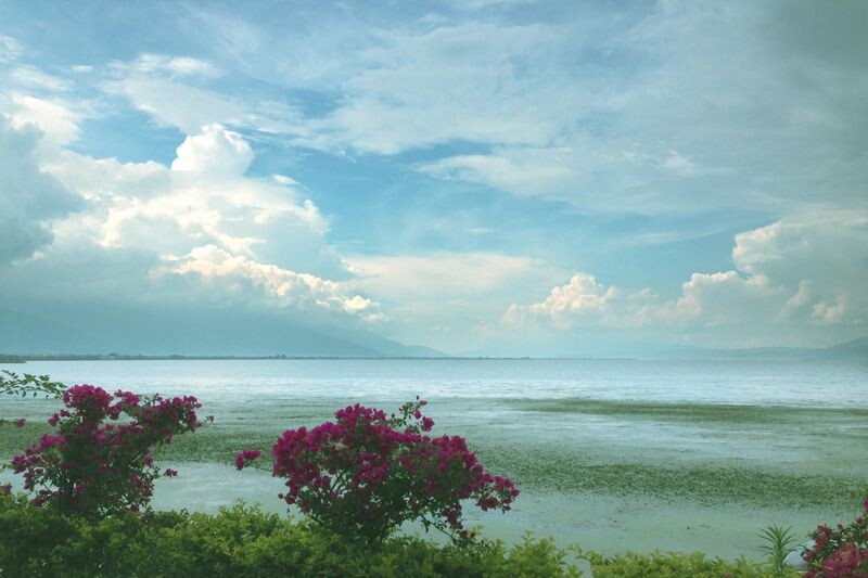 洱海17<br />
