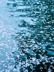 “L1000317”为智能对象-11