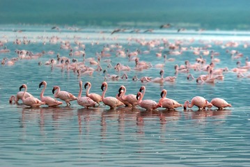 “DSC_0034”为智能对象-11.jpg