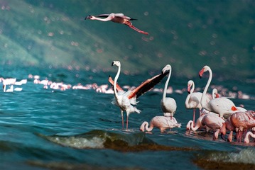 “DSC_0542”为智能对象-1.jpg