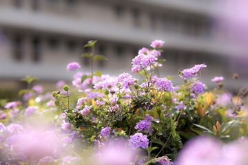 8340B79C-6910-4AF1-8D16-ED43BCFD1484/L0/001