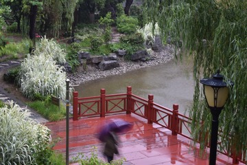 5AE96AC2-BA05-4342-944C-69AB6FD098BE/L0/001
