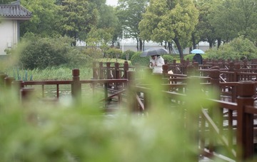 340F135A-4C19-44AB-A574-ADB774F7F4A7/L0/001