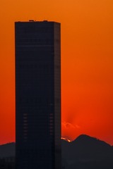 1000118577