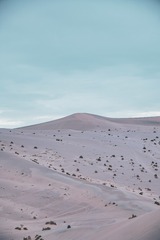 1000014520