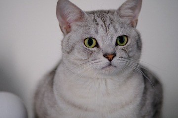 947