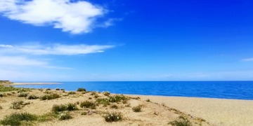 32F741EF-643A-48FC-BD39-6981438FE8D6/L0/001
