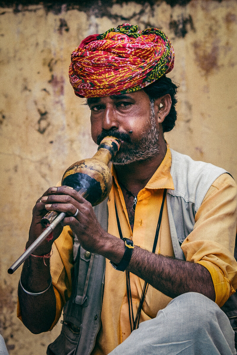 古堡中的传统艺人 焦特布尔 拉贾斯坦邦