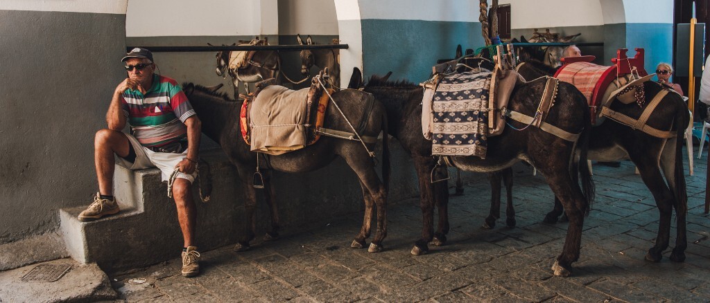 骑毛驴是希腊最传统的交通方式，在古老的小镇这种骑毛驴的小站也随处可见。