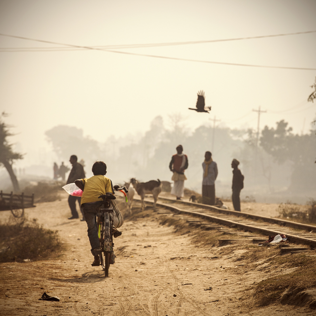 放学时刻 br /> 放学以后,孩子骑车飞奔回家!