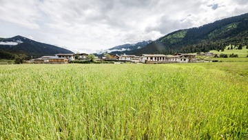 扎西岗村背后