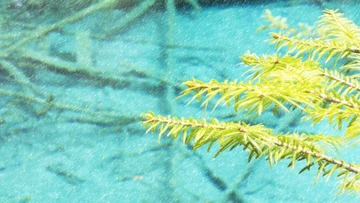 IMG_25611.jpg