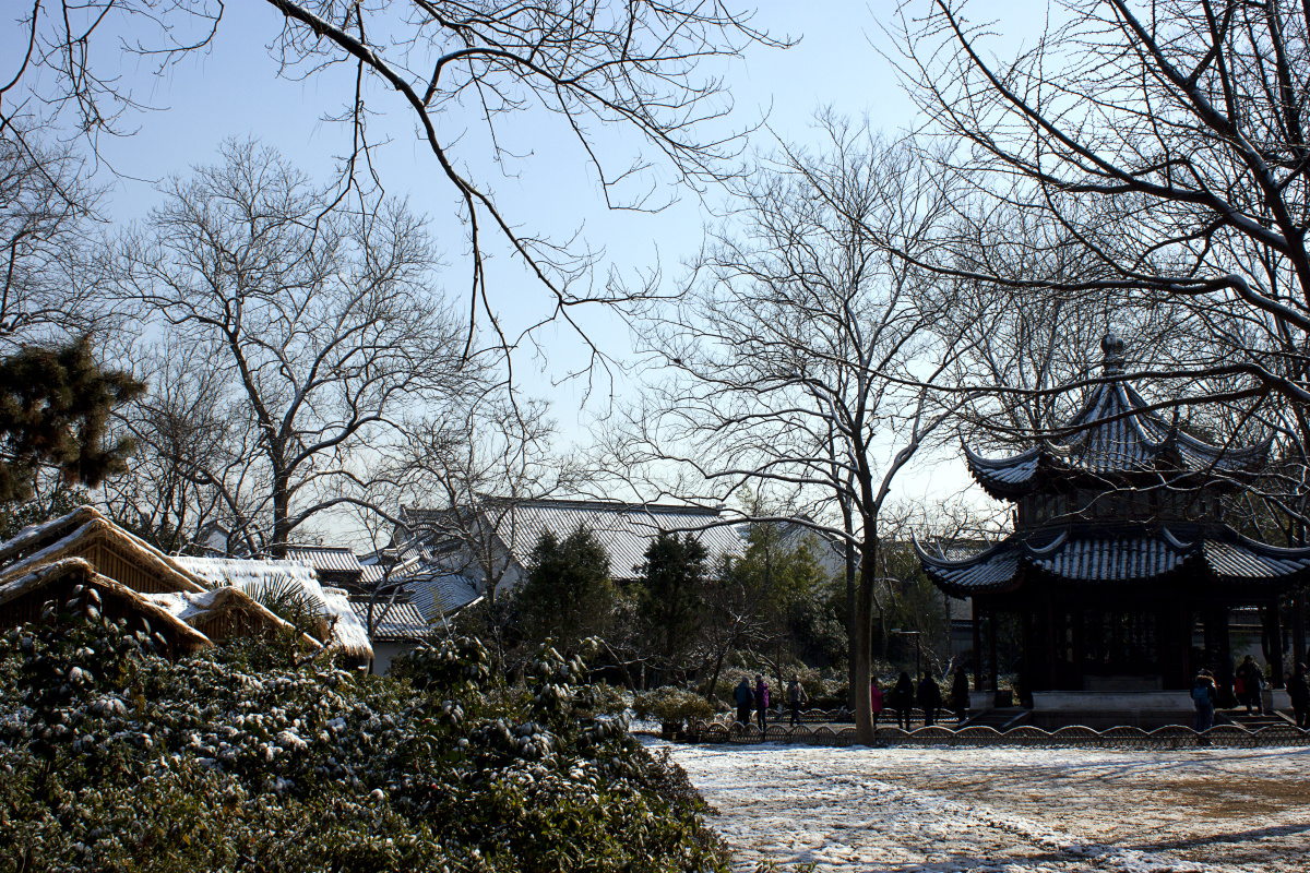 雪后苏园