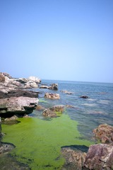 IMG_0026.jpg