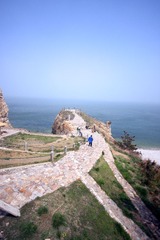 IMG_9985.jpg