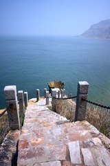 IMG_9996.jpg