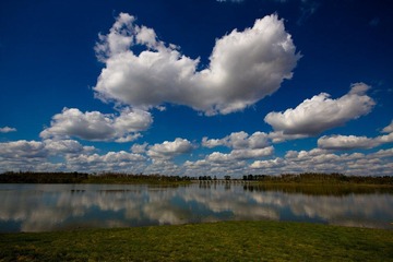 IMG_3627.jpg